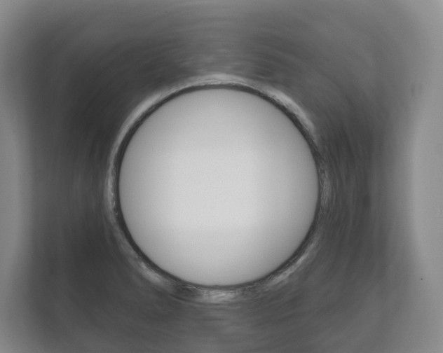 X0000111941278200907271007