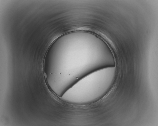 X0000111941281200907271007