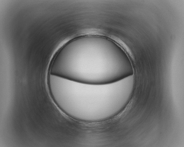 X0000111941285200907271007