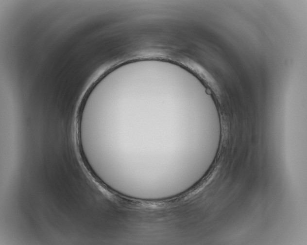 X0000111941286200907271007