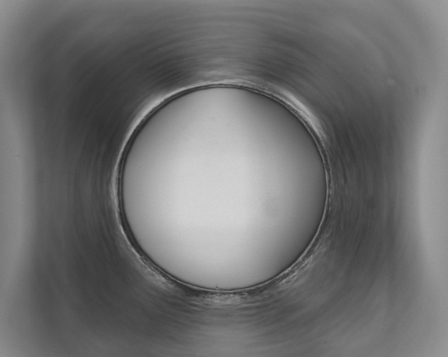 X0000111941291200907271006