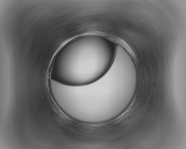 X0000111941292200907271006