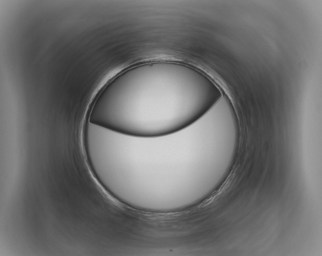 X0000111941293200907271006