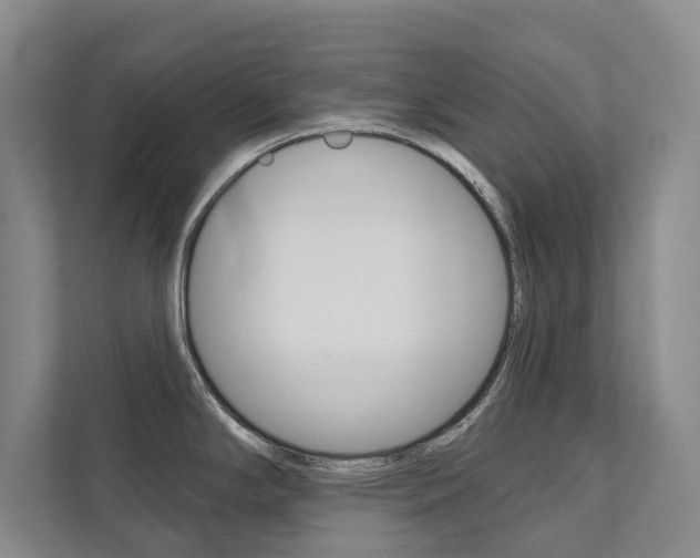 X0000111941294200907271006