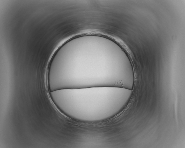 X0000111941295200907271006