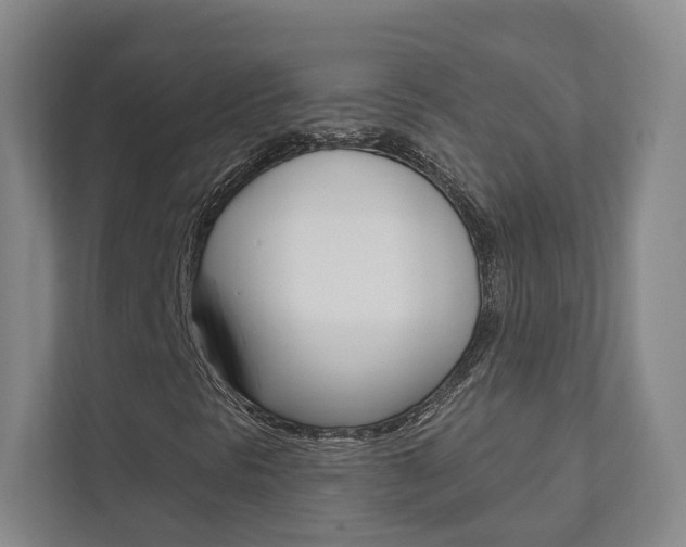 X0000111941297200907271006