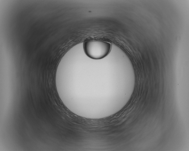 X0000111941298200907271006
