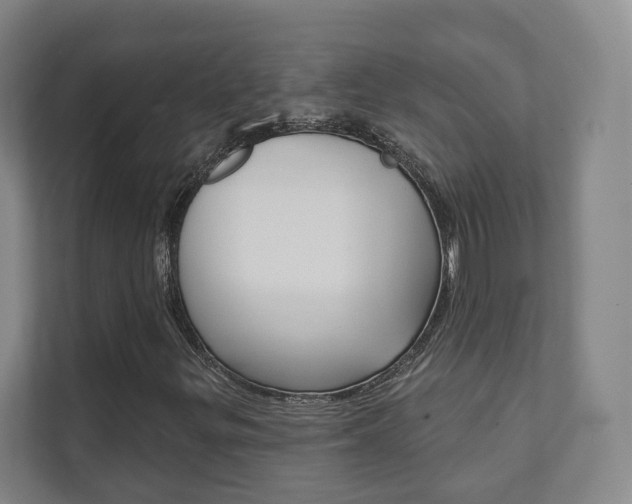 X0000111941299200907271006