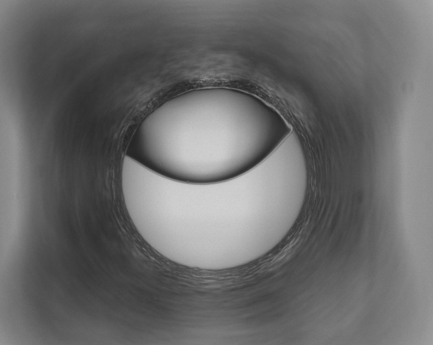X0000111941300200907271006