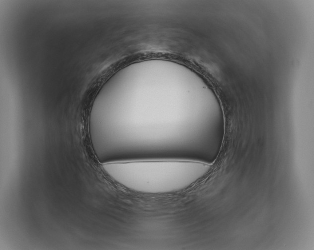 X0000111941303200907271006