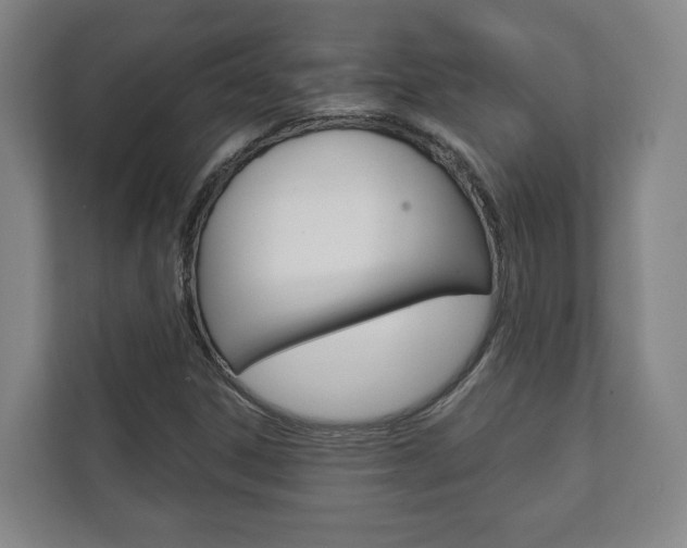 X0000111941306200907271006