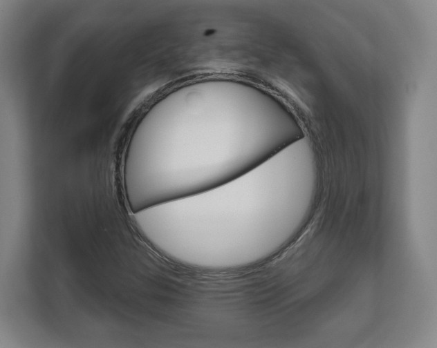 X0000111941307200907271006