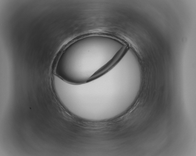 X0000111941308200907271006