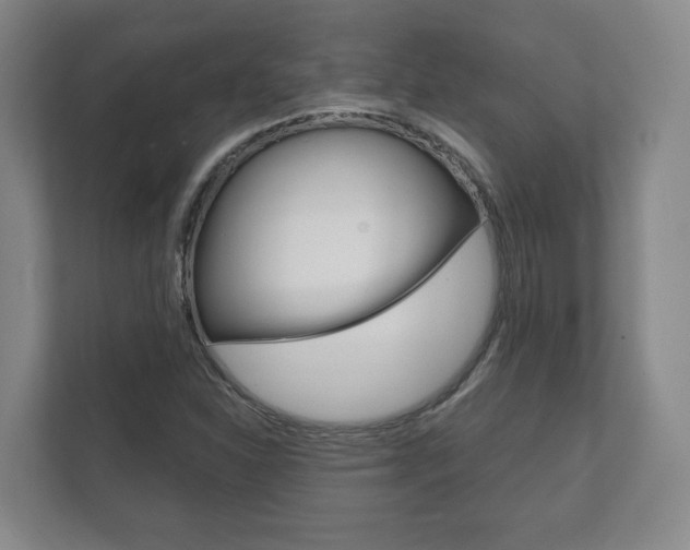 X0000111941310200907271006