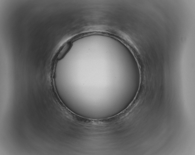 X0000111941312200907271006