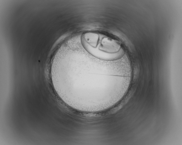 X0000111941314200907271006