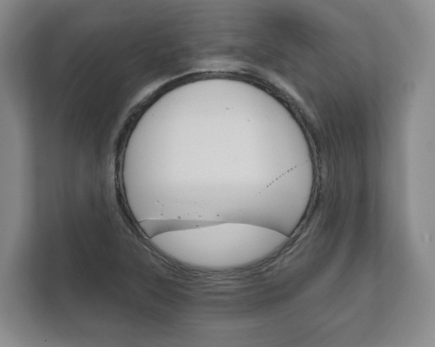 X0000111941315200907271006