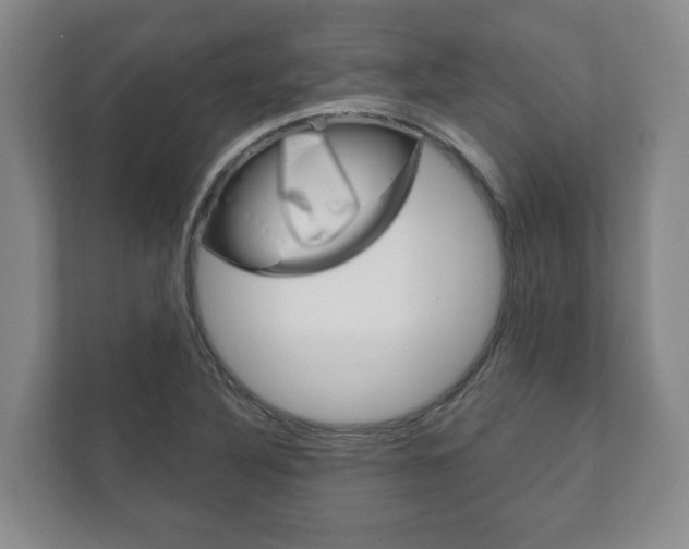 X0000111941316200907271006