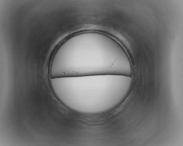 X0000111941318200907271006
