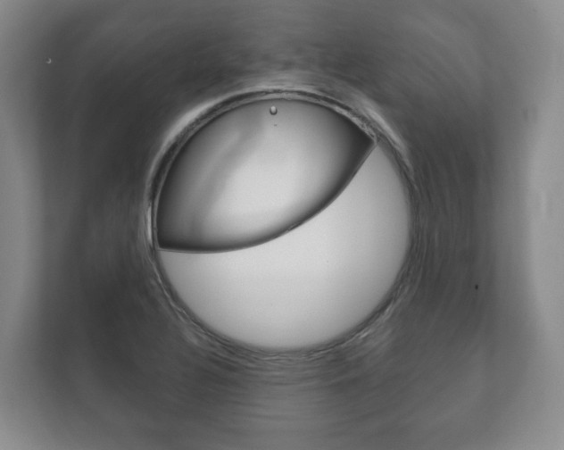 X0000111941320200907271006