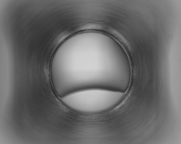 X0000111941321200907271006