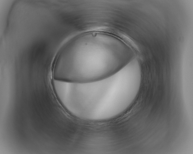 X0000111941324200907271006