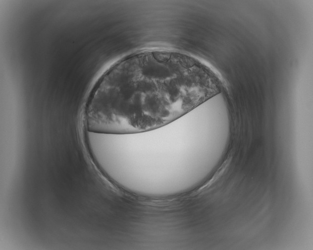 X0000111941325200907271006