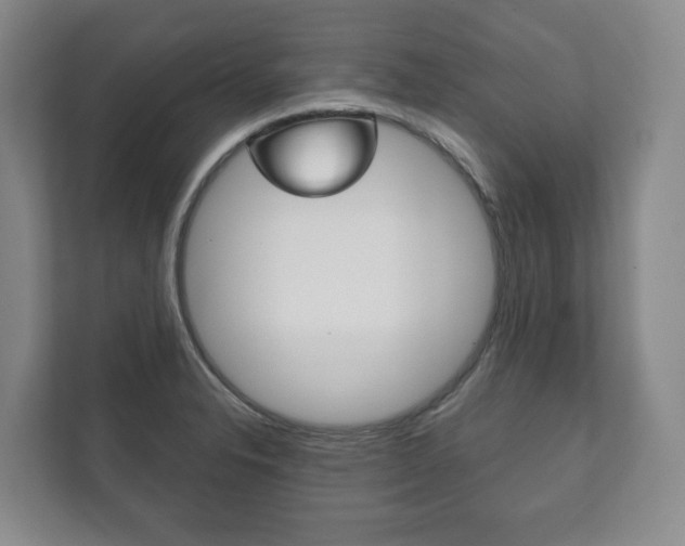 X0000111941326200907271006