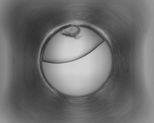 X0000111941327200907271006