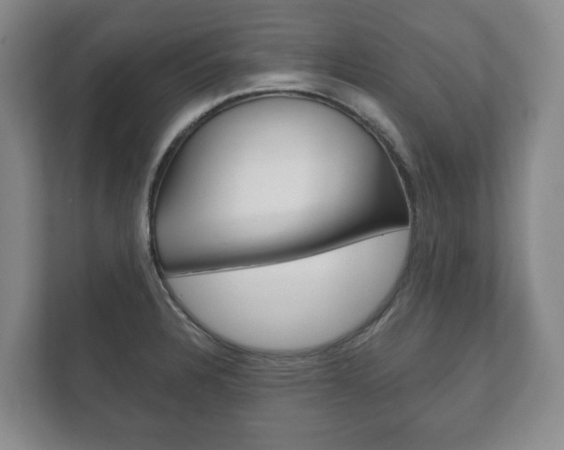 X0000111941328200907271006