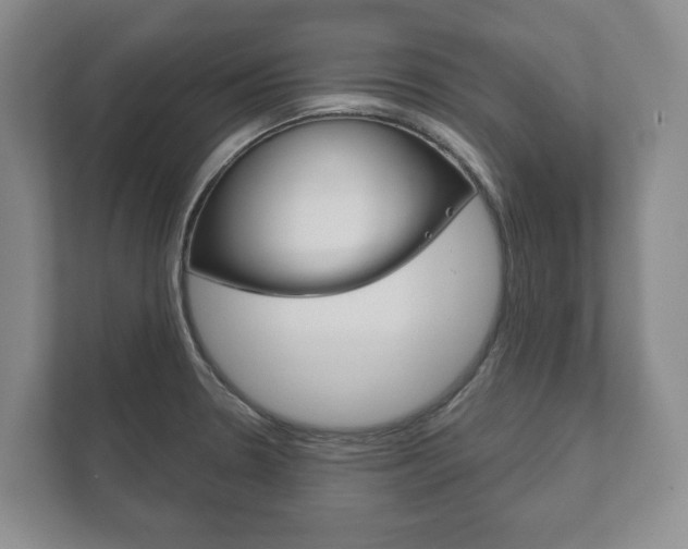 X0000111941330200907271006