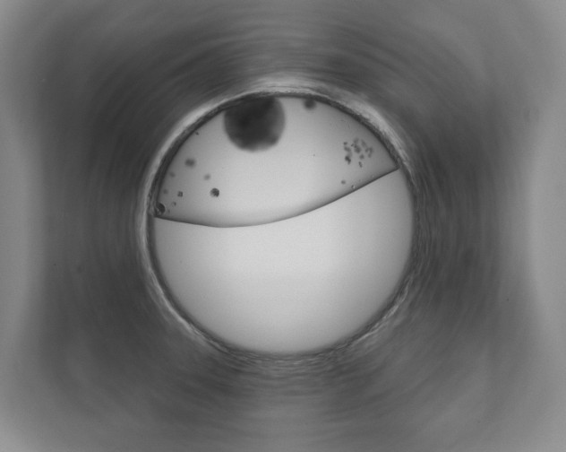 X0000111941331200907271006