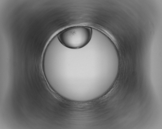 X0000111941332200907271006
