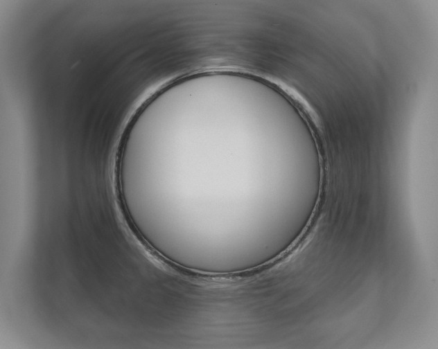 X0000111941333200907271006