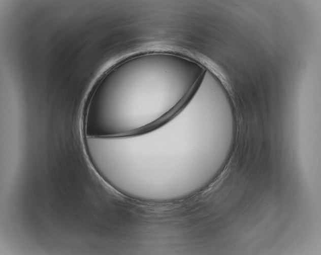 X0000111941334200907271006