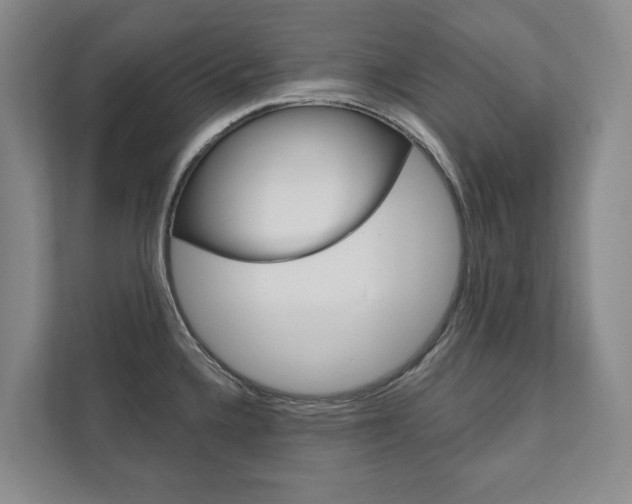 X0000111941336200907271006