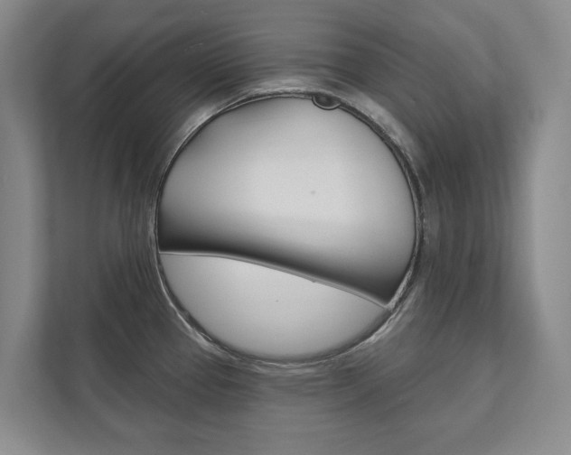 X0000111941337200907271006