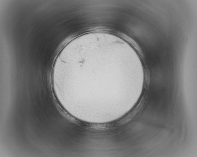 X0000111941338200907271006
