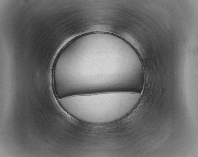 X0000111941339200907271006