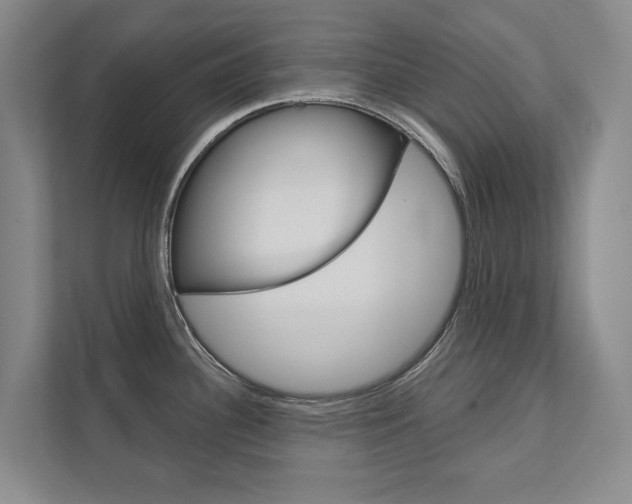 X0000111941340200907271006
