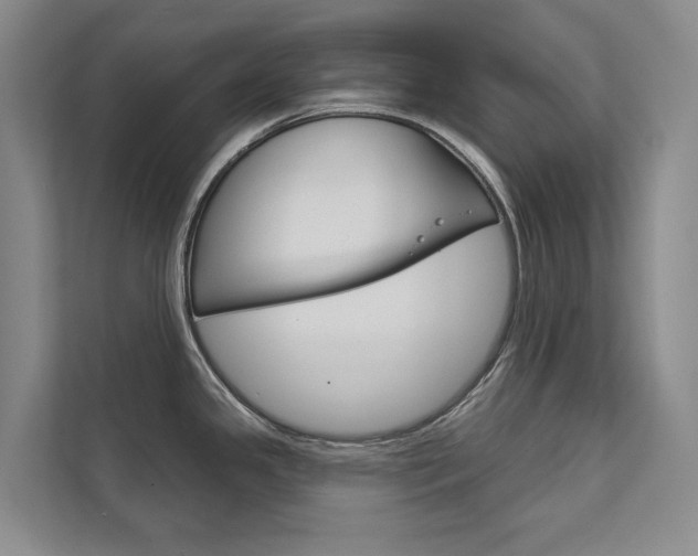 X0000111941341200907271006