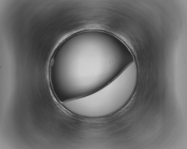 X0000111941342200907271006