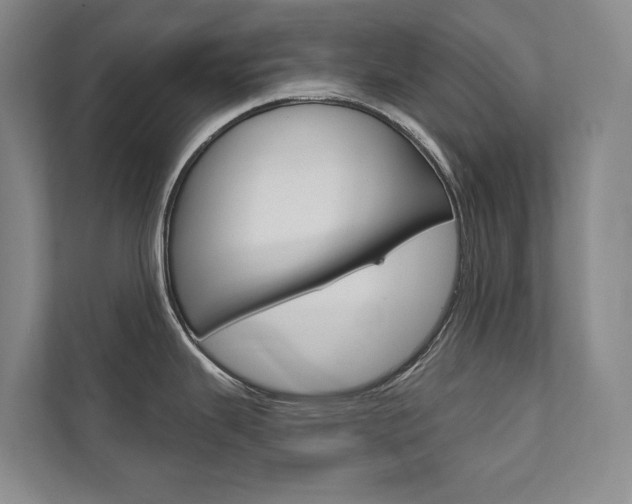 X0000111941343200907271006