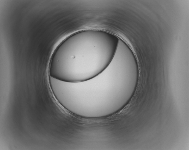X0000111941344200907271006