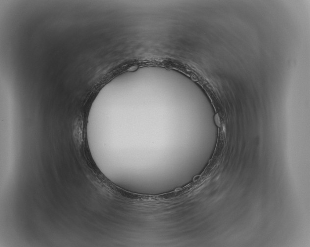 X0000111941348200907271006