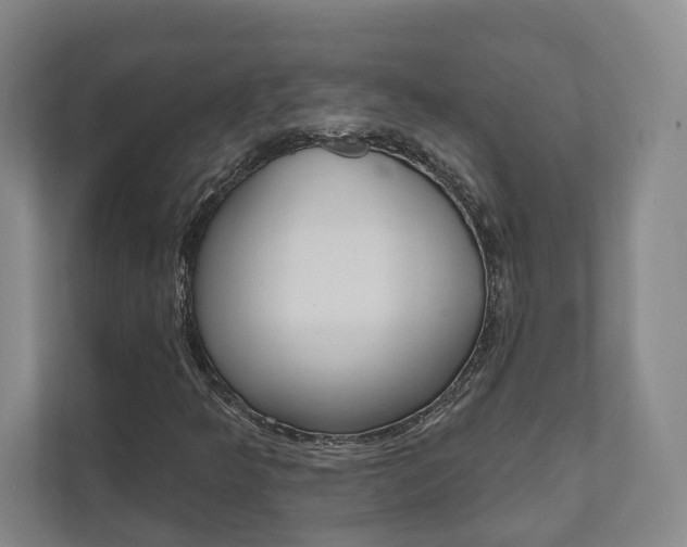 X0000111941349200907271006