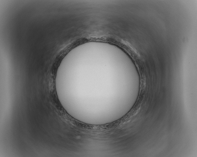 X0000111941350200907271006