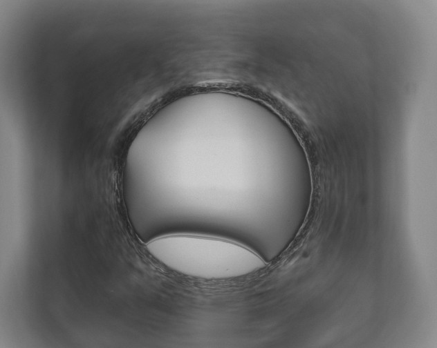 X0000111941351200907271006