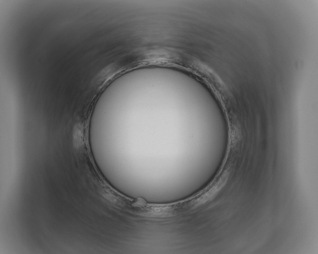 X0000111941353200907271006