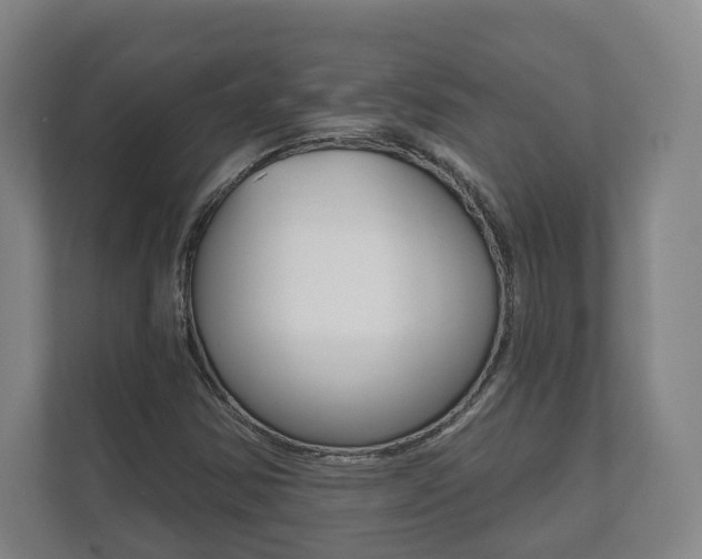X0000111941354200907271006